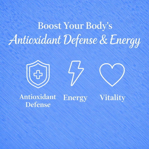 Science-Backed Antioxidant Support Guide